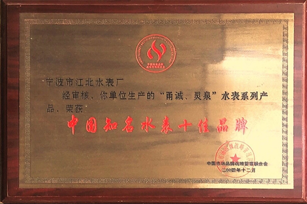 中國(guó)知名水表十佳品牌